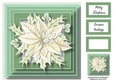 The Cream Poinsettia 8x8