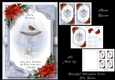 Beautiful Christmas Scene - The Robin