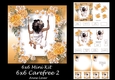 6x6 Carefree 2