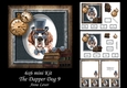 6x6 The Dapper Dog 9 - St Bernard