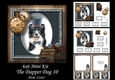 6x6 The Dapper Dog 10 - Border Collie