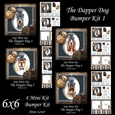 6x6 The Dapper Dog Bumper Kit 1