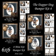 6x6 The Dapper Dog Bumper Kit 4