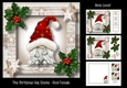 The Christmas Hat Gnome - Red Female