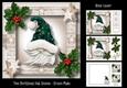 The Christmas Hat Gnome - Green Male