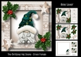 The Christmas Hat Gnome - Green Female