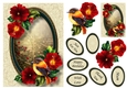 Beautiful Bird & Rich Red Flowers A5