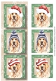 Lge DL Christmas Trio Of Dogs - Golden Retriever
