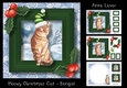 Meowy Christmas Cat - Bengal