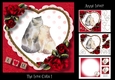 The Love Cats 1