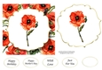 6x6 Watercolour Floral - Poppy