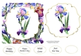 6x6 Watercolour Floral - Iris