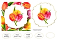 6x6 Watercolour Floral - Multicolour Tulips