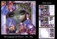 The Language Of Flowers - Iris - JBG