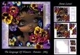 The Language Of Flowers - Pansies - JBG
