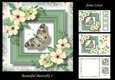 Beautiful Butterfly 1