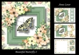 Beautiful Butterfly 2