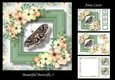 Beautiful Butterfly 3