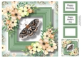 Beautiful Butterfly 3 8x8
