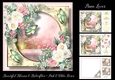 Beautiful Blooms & Butterflies - Pink & White Roses