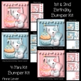 1st & 2nd Birthday Bumper Kit