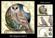The Majestic Owl 2