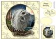 The Majestic Owl 3 8x8