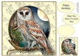 The Majestic Owl 2 8x8