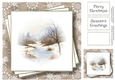 Faded Scene - The Frozen Stream - No Flowers
