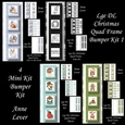 Lge DL Christmas Quad Frame Bumper Kit 1