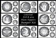 Celestial Plain Toppers Bumper Kit