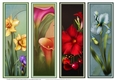 Gorgeous Floral Bookmarks Sheet 8
