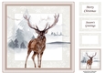 Sepia Christmas Winter Stag No Holly