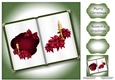 Open Book Christmas No Flowers - Magenta Candle