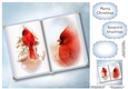 Open Book Christmas No Flowers - Red Cardinal