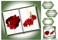 Open Book Christmas No Flowers - Red Candle