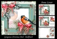Gorgeous Christmas Bird - Bullfinch