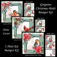Gorgeous Christmas Birds Bumper Kit
