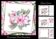 Beautiful Pink Poinsettia