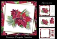 Beautiful Magenta Poinsettia