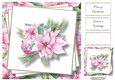 Beautiful Pink Poinsettia 8x8