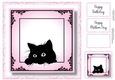 Peeking Cat In Pink - No Flowers