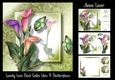 Lovely Lace Back Calla Lilies & Butterflies