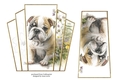 7x7 Art Deco Stacker - Bulldog Pup