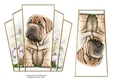 7x7 Art Deco Stacker - Shar Pei Pup