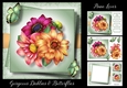 Gorgeous Dahlias & Butterflies