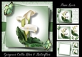 Gorgeous Calla Lilies & Butterflies