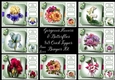 Gorgeous Flowers & Butterflies QUICK TOPPER Bumper Kit