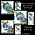 Christmas Robin & Holly Scenes Bumper Kit