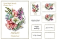 Birth Month Flower - August Gladiolus
